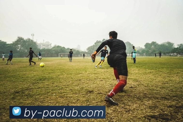 PA体育模拟器全站App