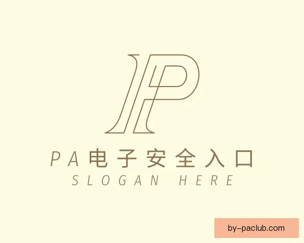 了解PA电子安全入口